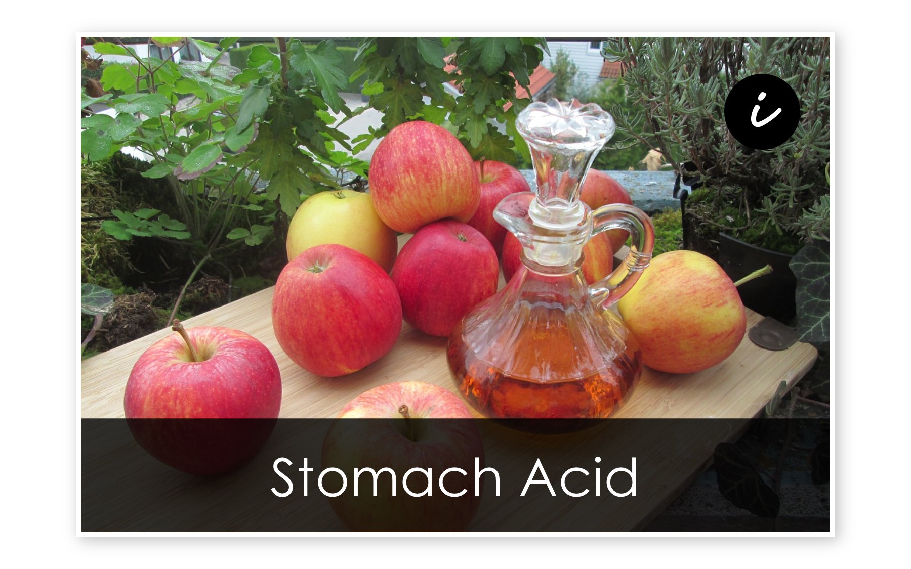 Stomach Acid - Digestive Enzymes