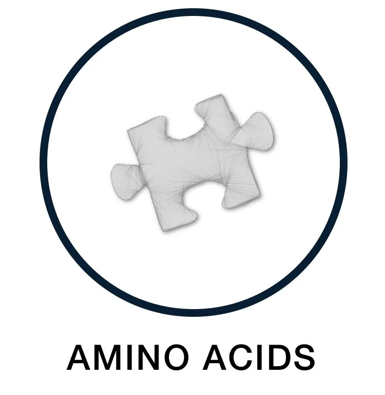 Amino Acid Supplements
