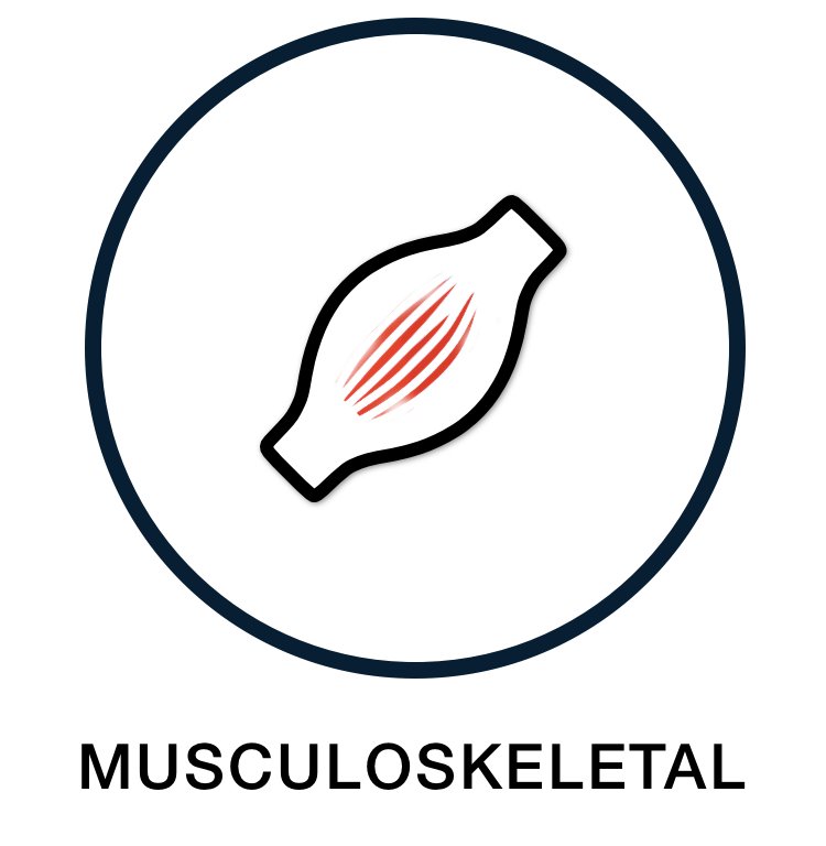 Musculoskeletal Support Supplements