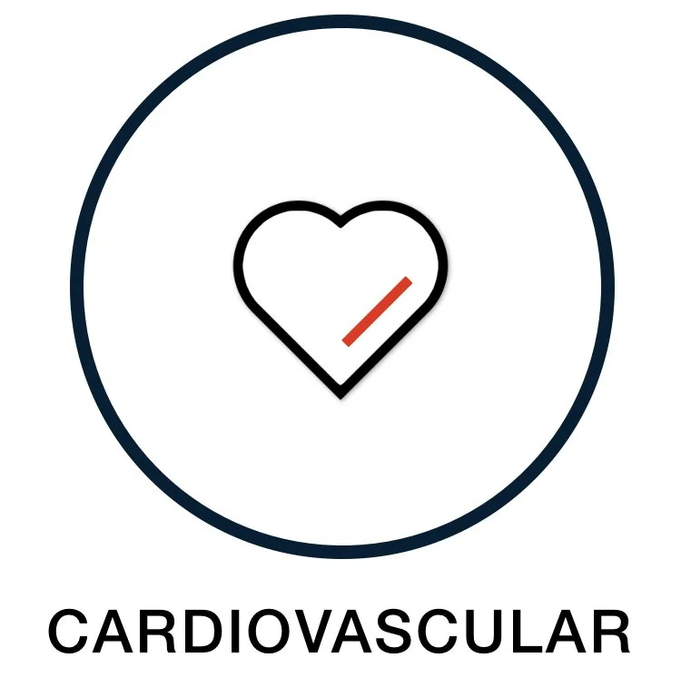Cardiovascular Support Supplements