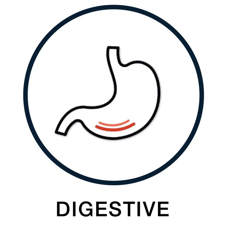 Digestive Support Supplements