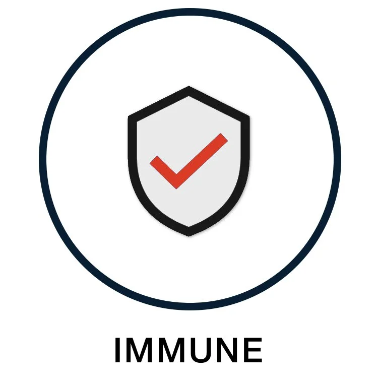 Immune Support Supplements