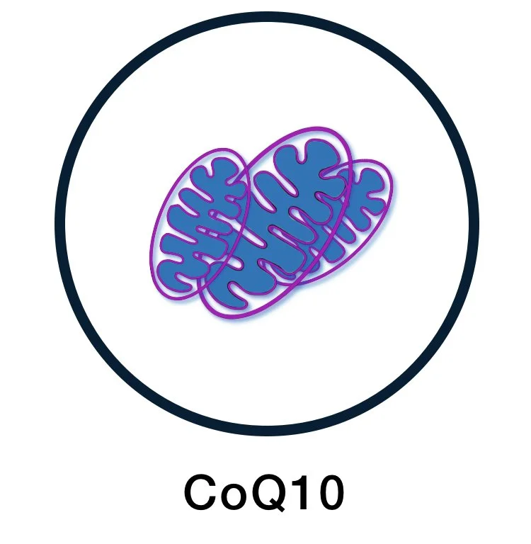 CoQ10 Depletion Supplements