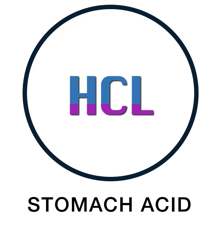 Stomach Acid HCL Support Supplements