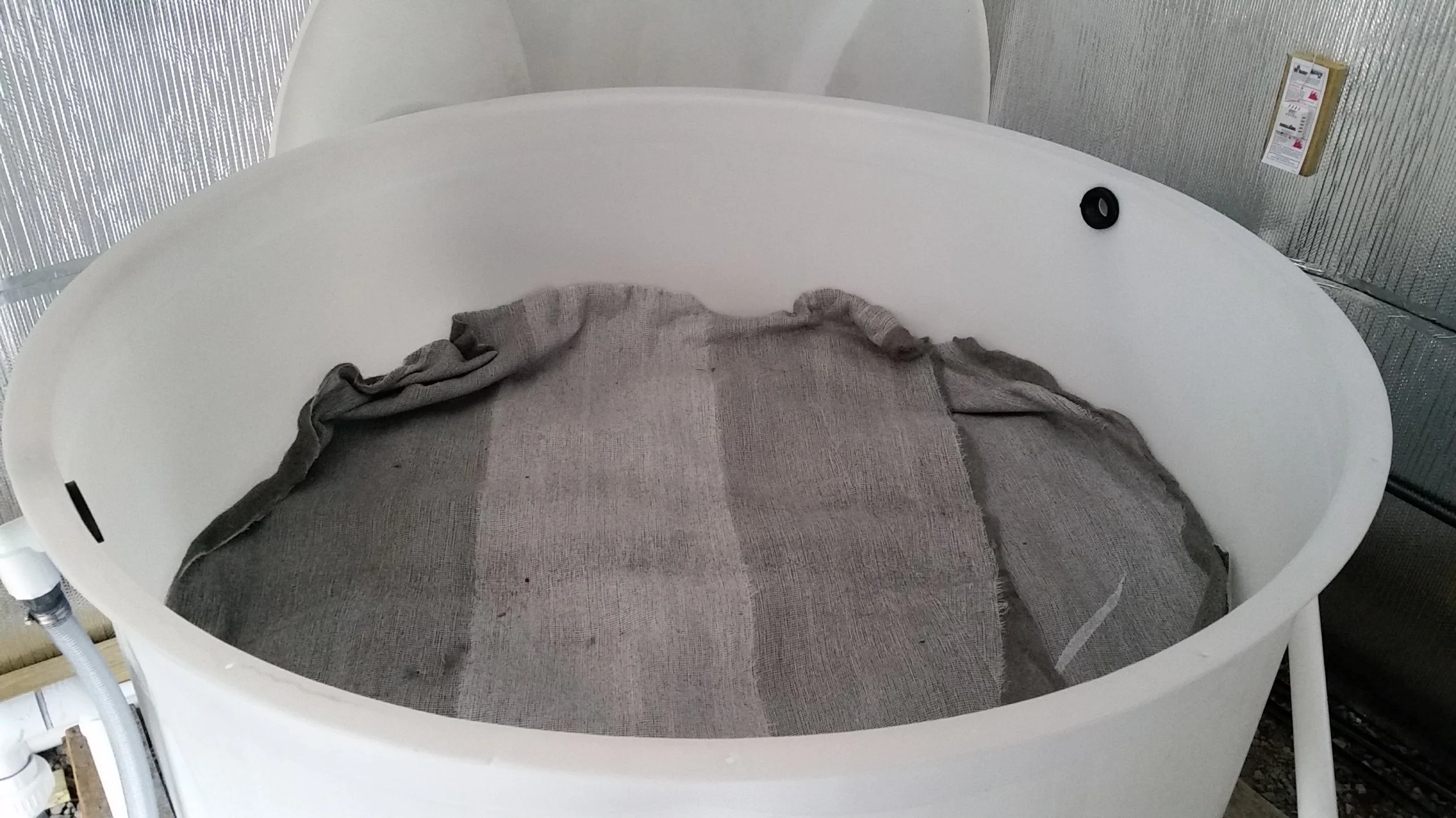 Al Fiter Before Water