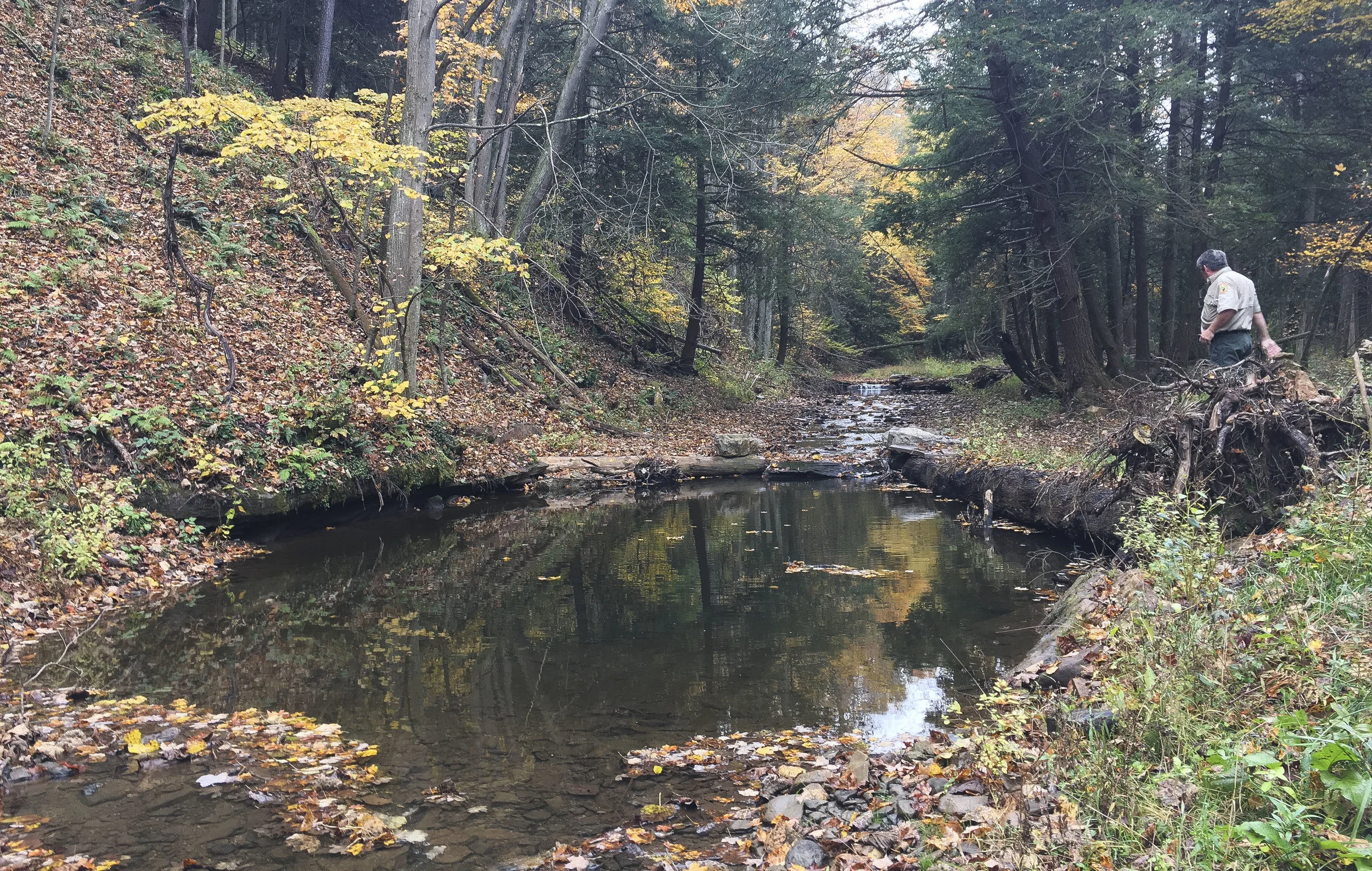 Muddy_Creek_Structure2.1.jpg