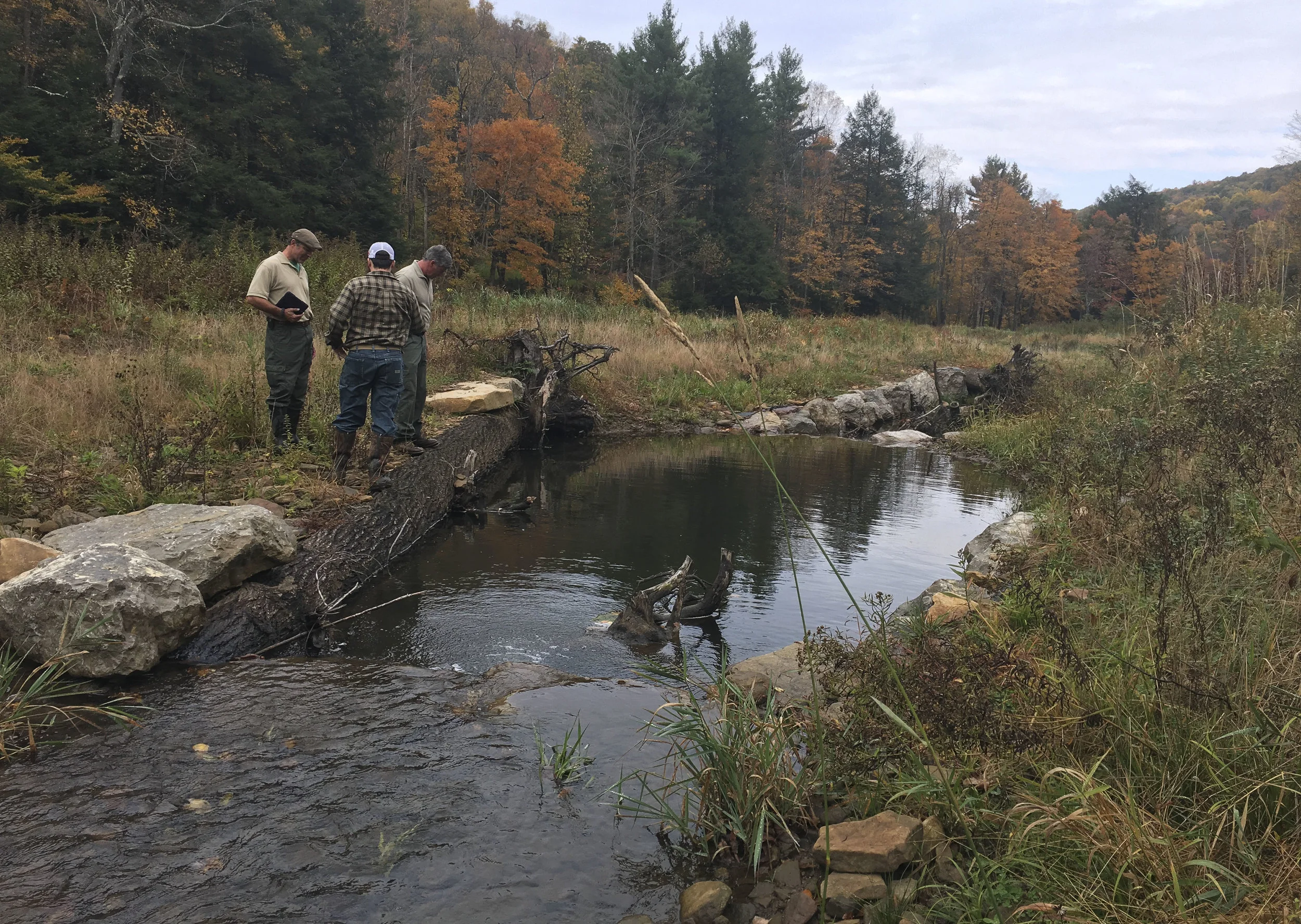 Muddy_Creek_Structure3.1.jpg
