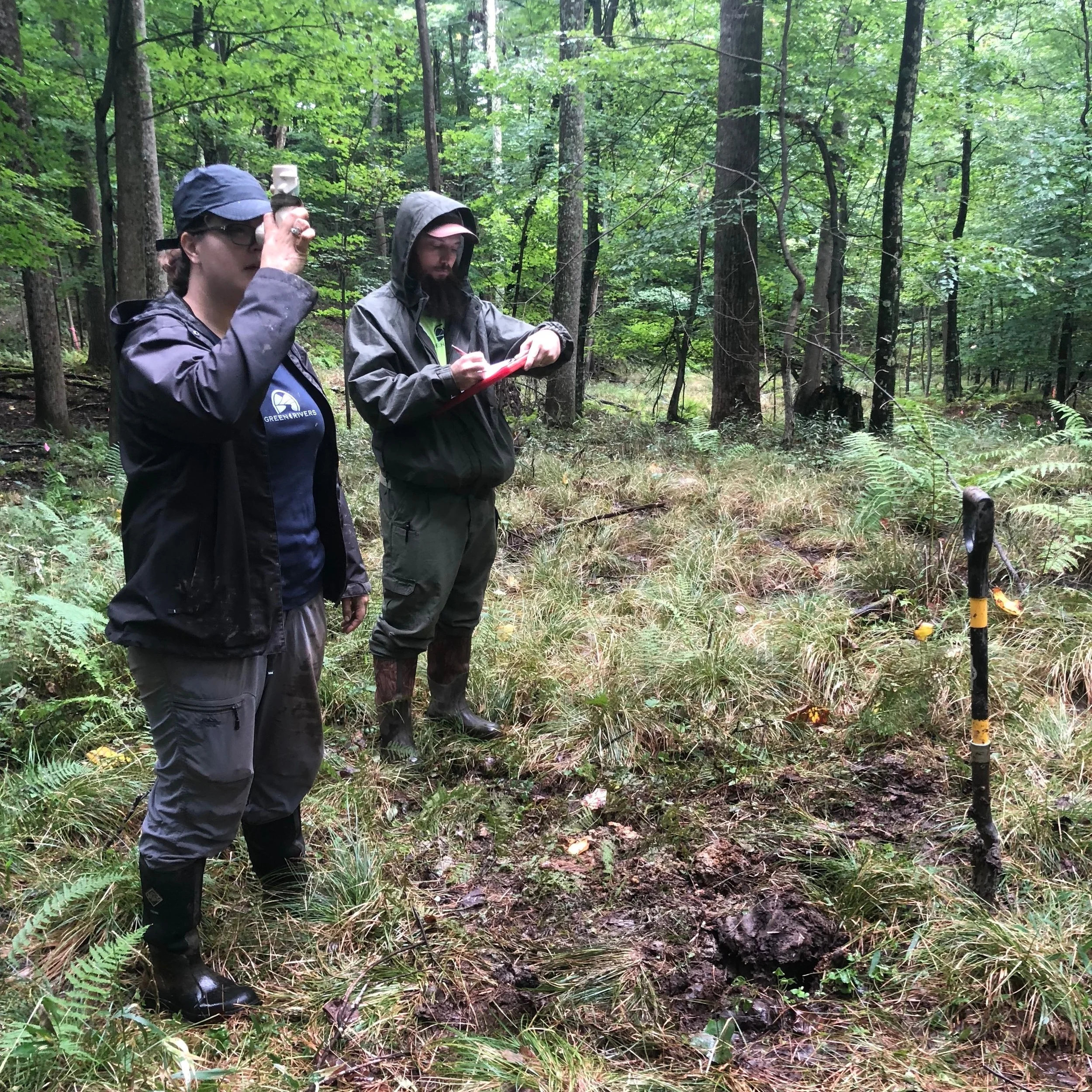Swamp Run #2 | Acid Mine Drainage (AMD) Remediation