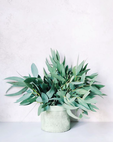 Instagram vs. Reality