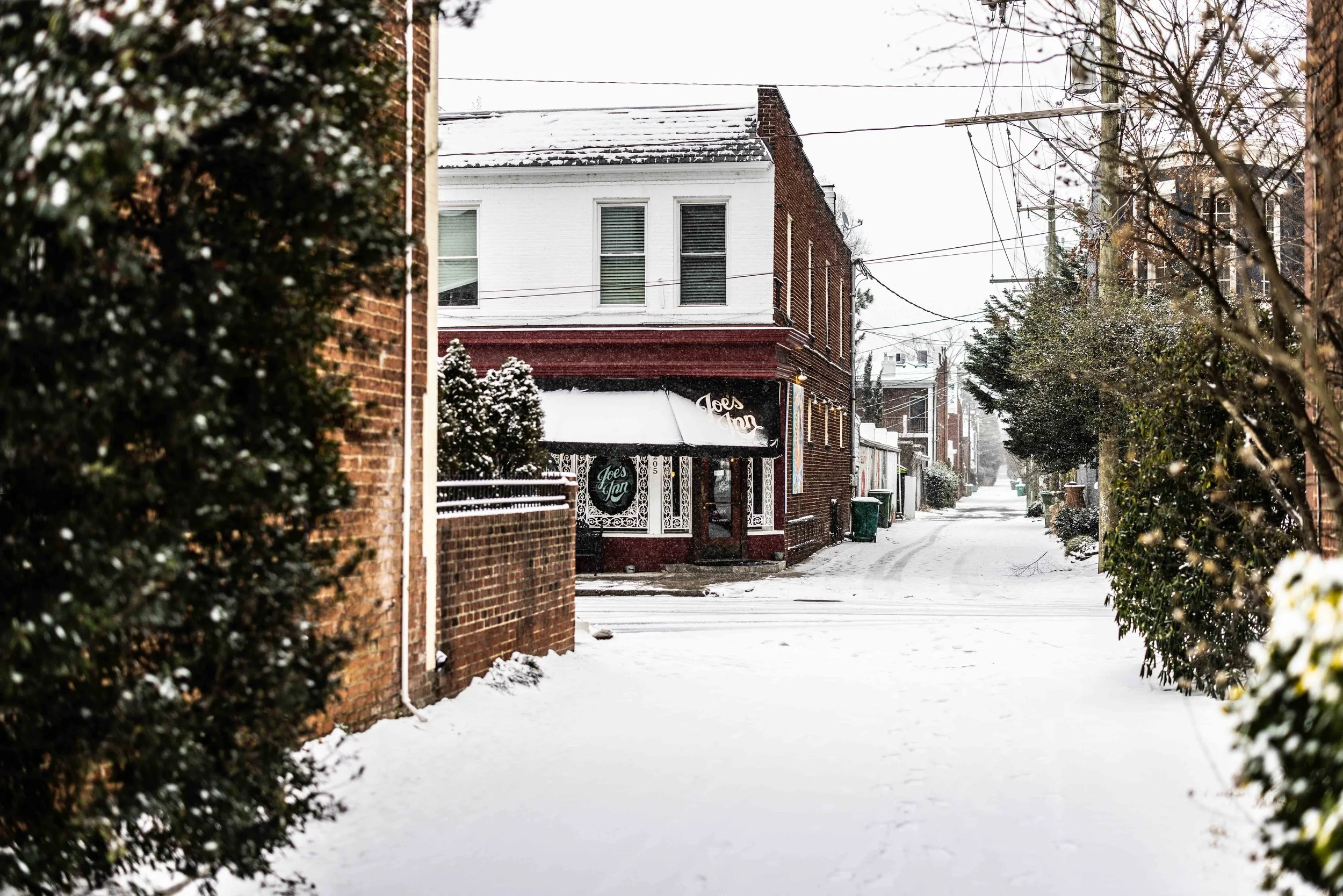 2025.02.19 - Snow Day - Proof-9628.JPG