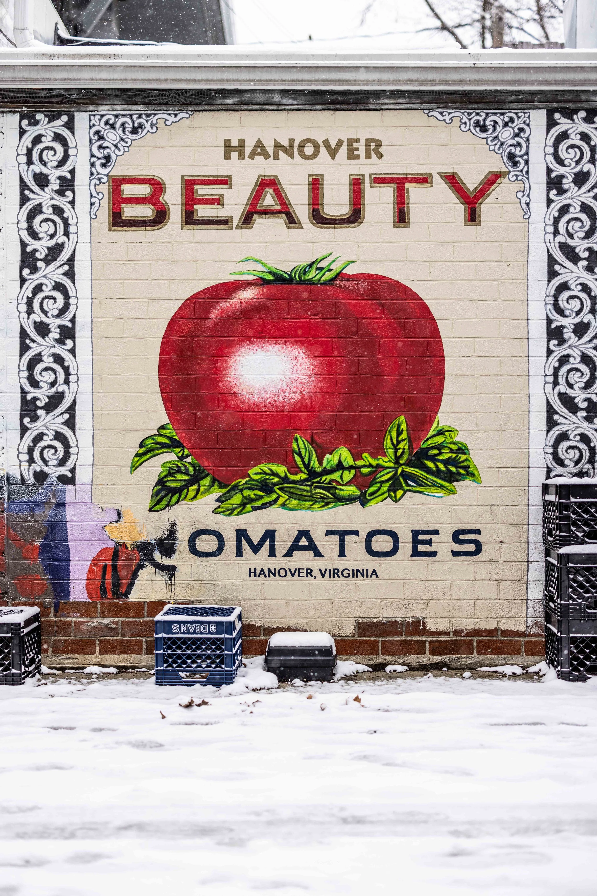 2025.02.19 - Snow Day - Proof-9635.JPG