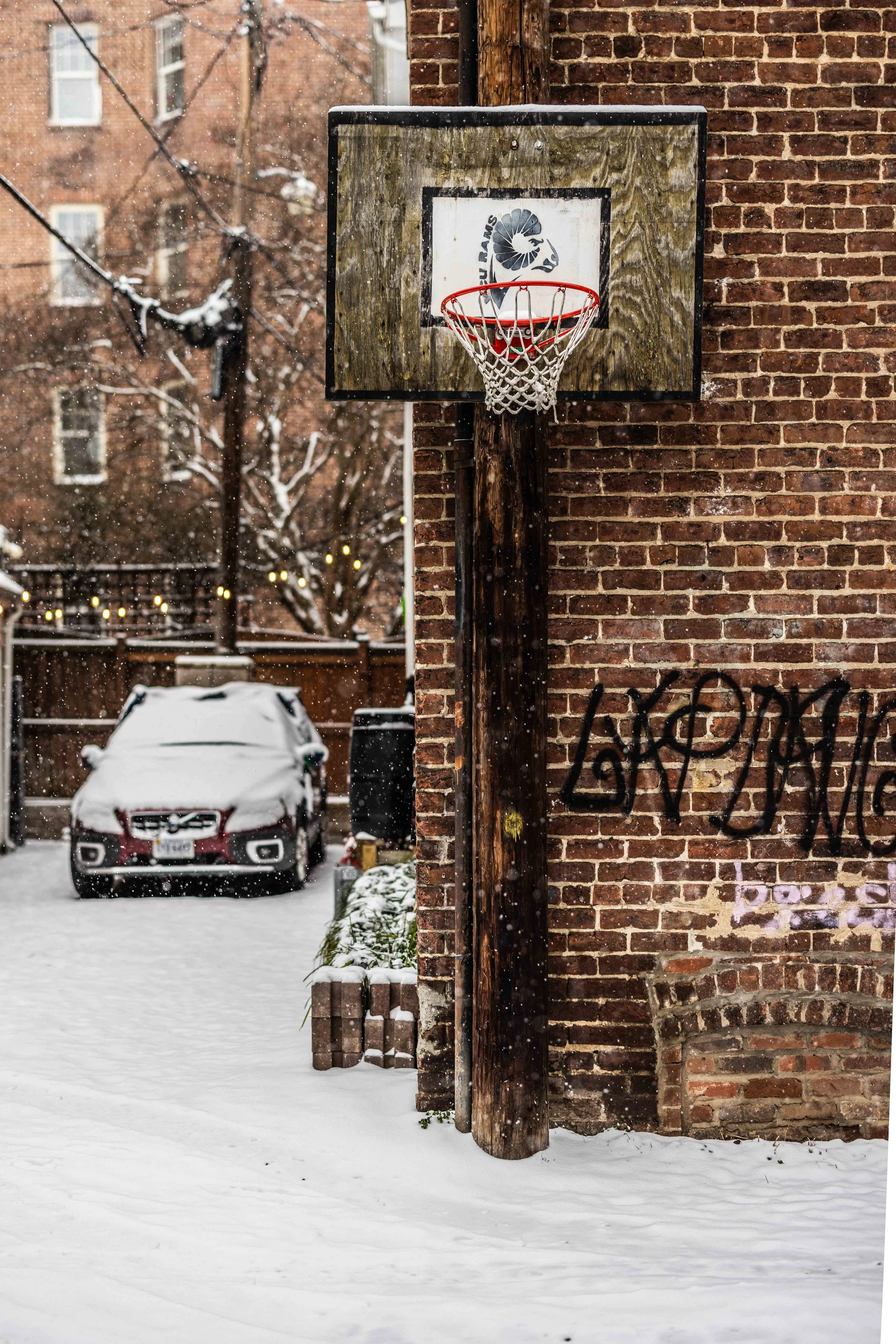 2025.02.19 - Snow Day - Proof-9701.JPG