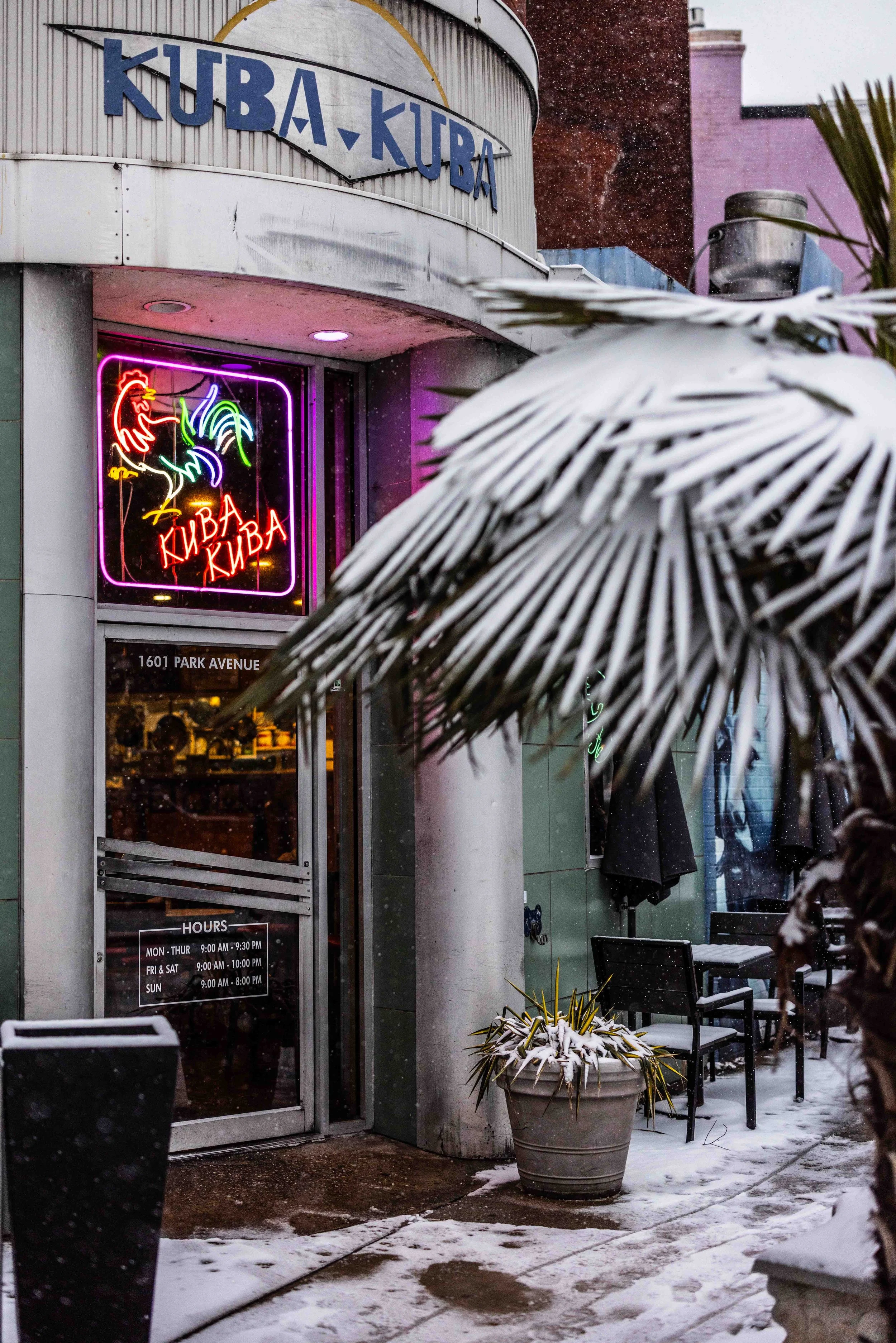 2025.02.19 - Snow Day - Proof-9815.JPG