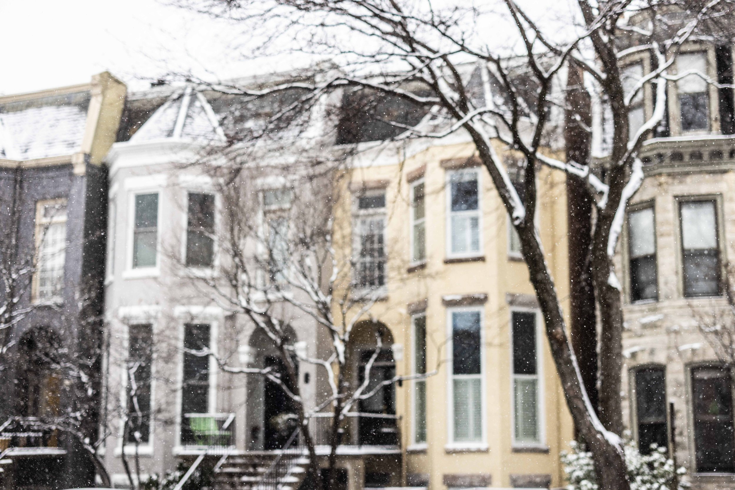 2025.02.19 - Snow Day - Proof-9685.JPG