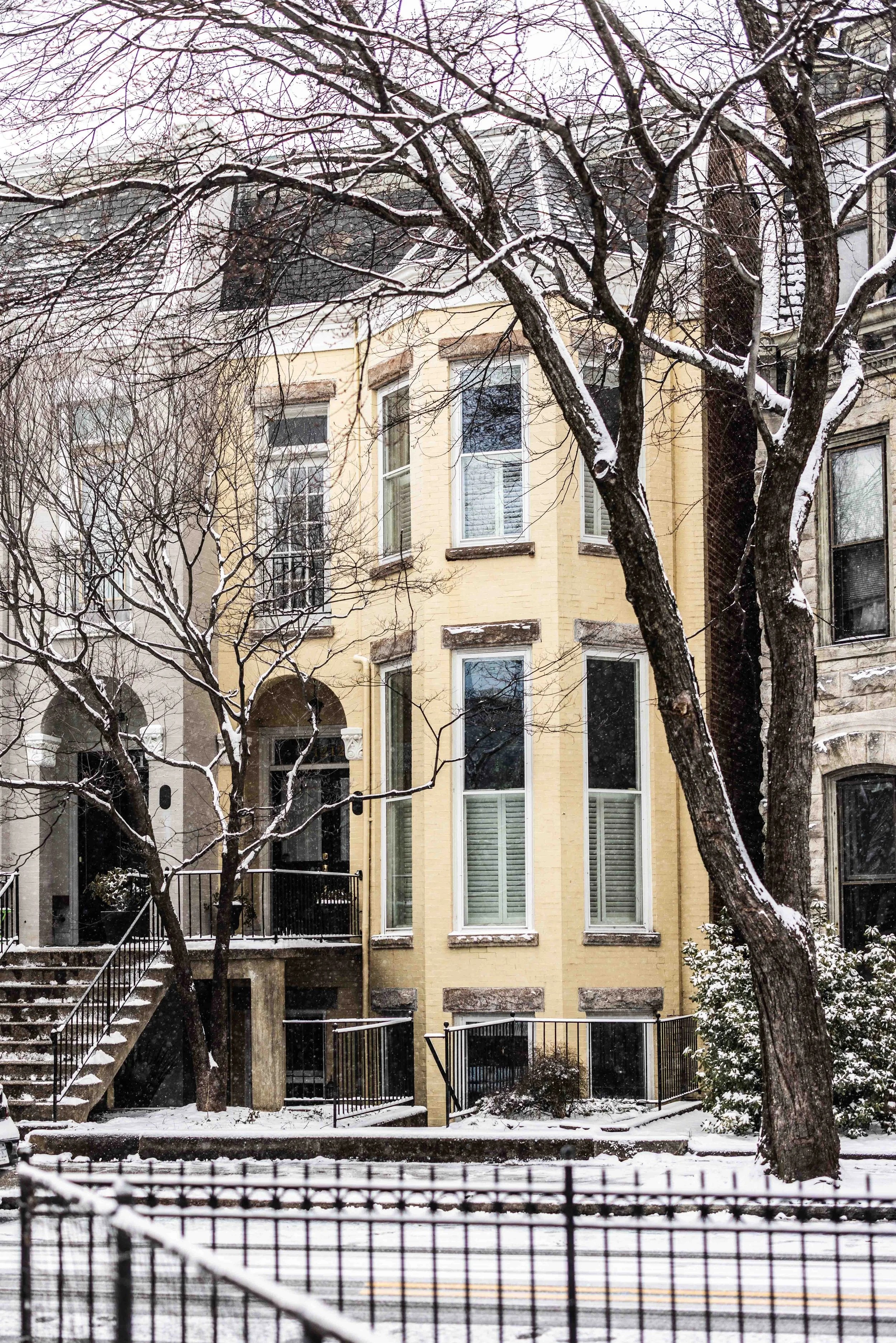 2025.02.19 - Snow Day - Proof-9687.JPG