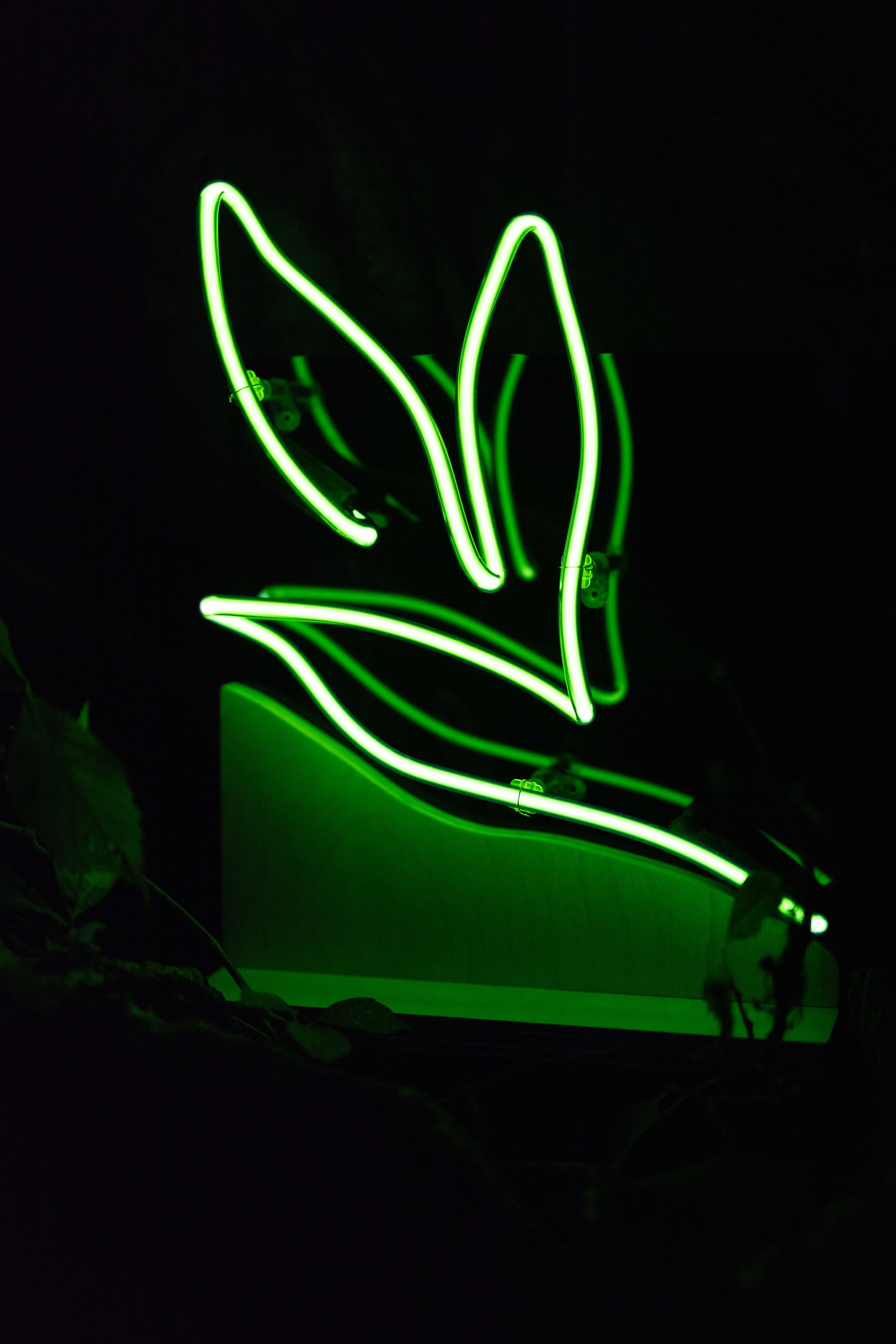 2025.08 - Uptown Neon - Proof - Web -0472.JPG