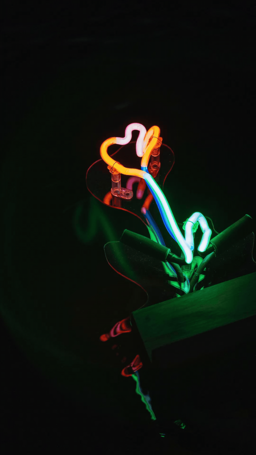 Adobe Express - Uptown Neon - River Flower - Gif.gif