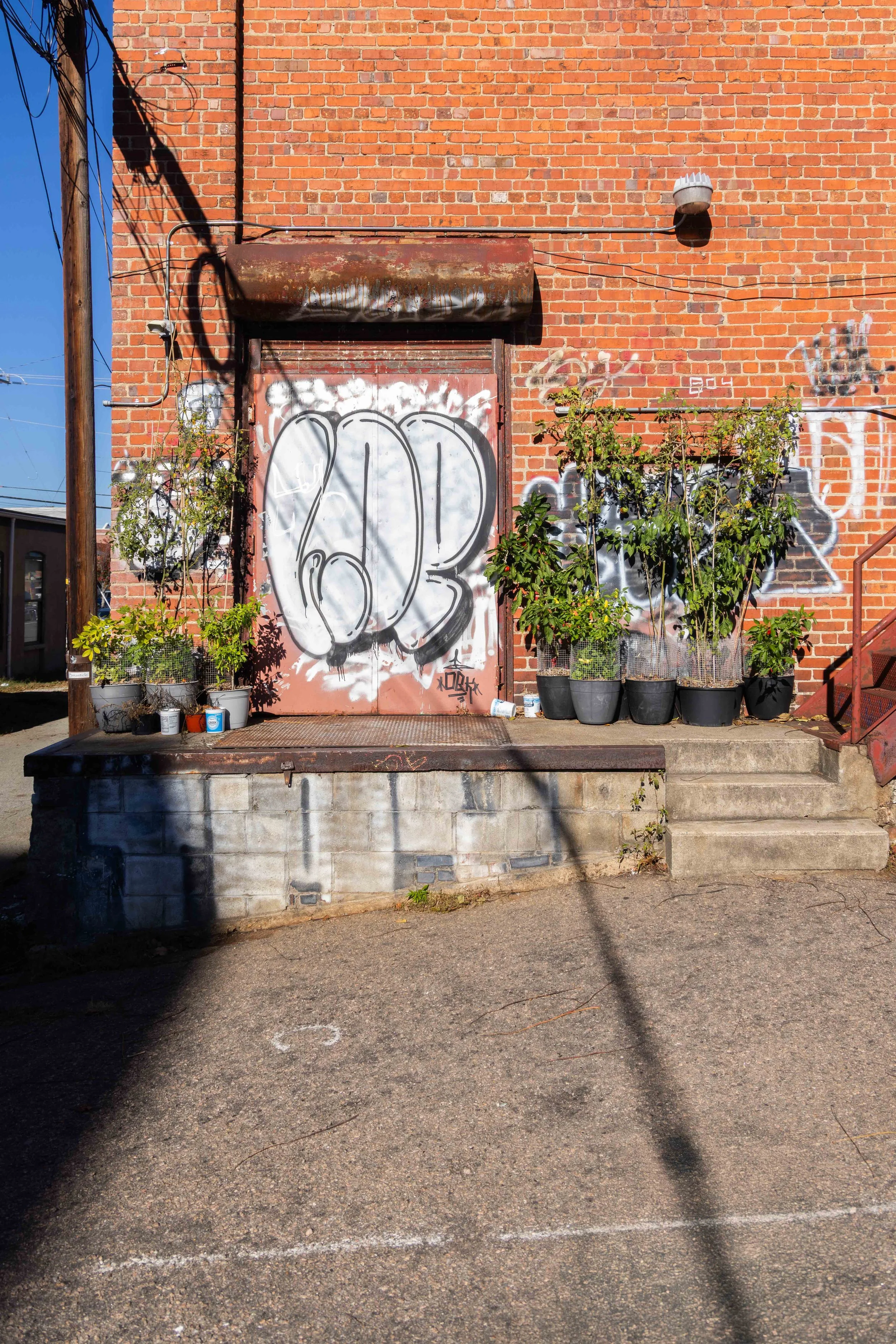 2025.10 - Ben White - Artist - Proof-.JPG