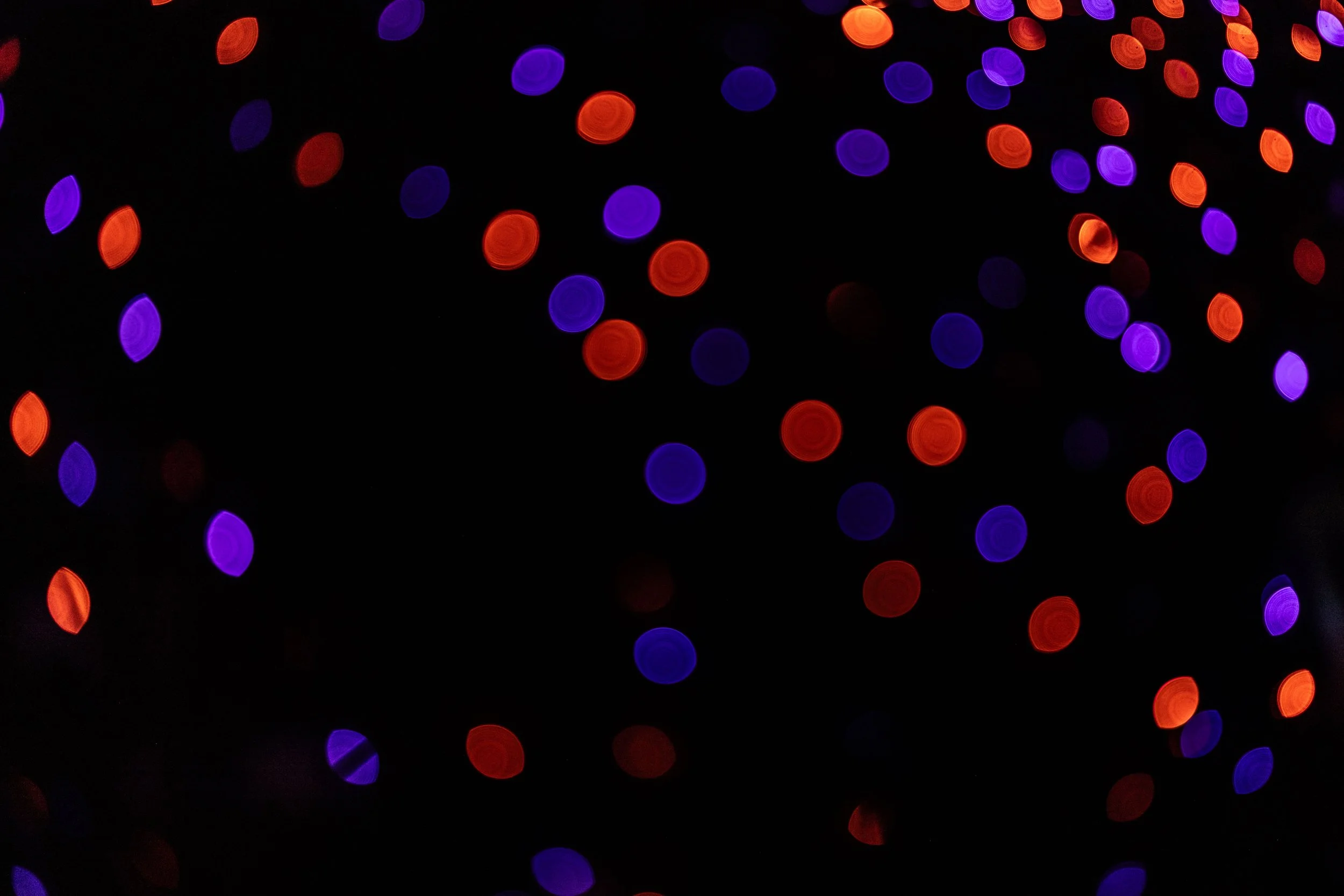 2025.10 - Halloween - Proof-1391.JPG