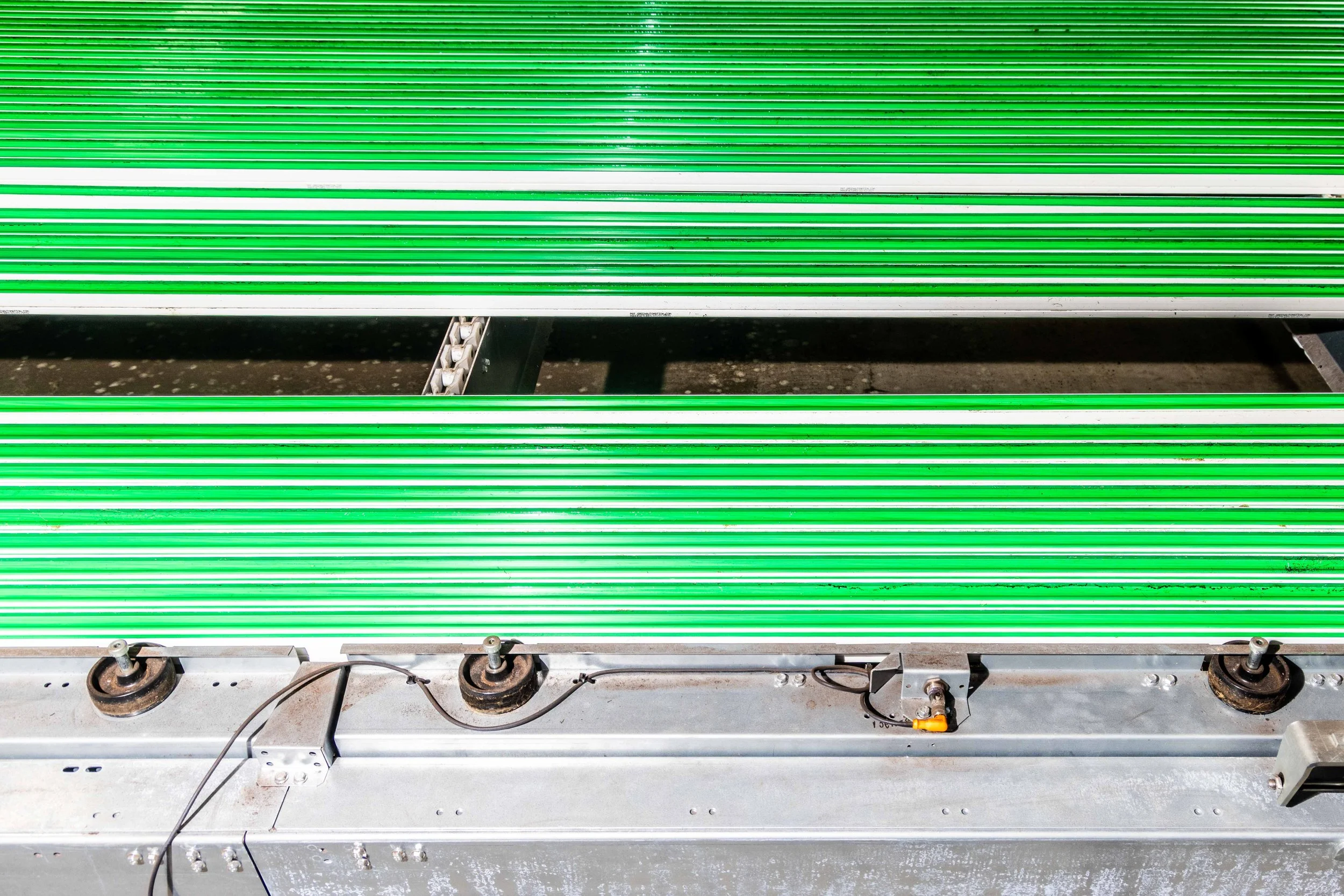 2023.10 - Greenswell - Proof-7582.JPG