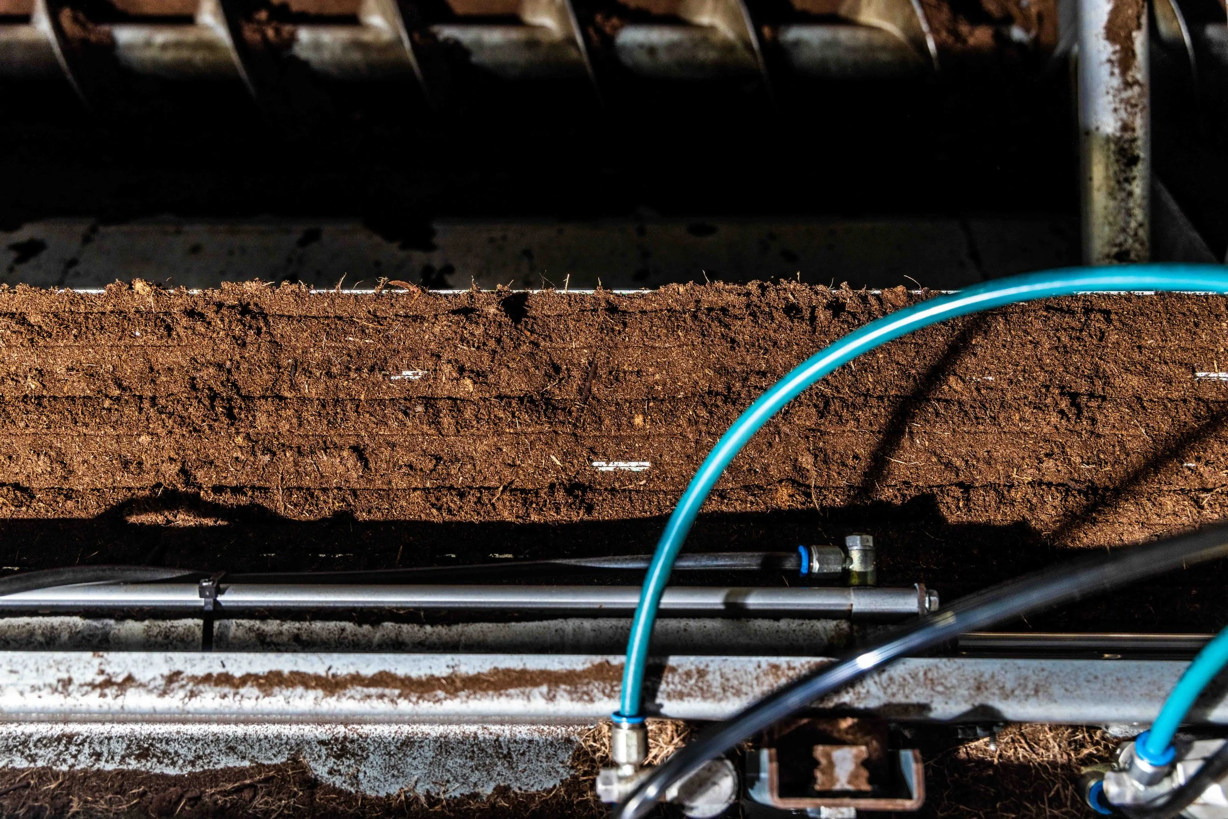 2023.10 - Greenswell - Proof-7592.JPG