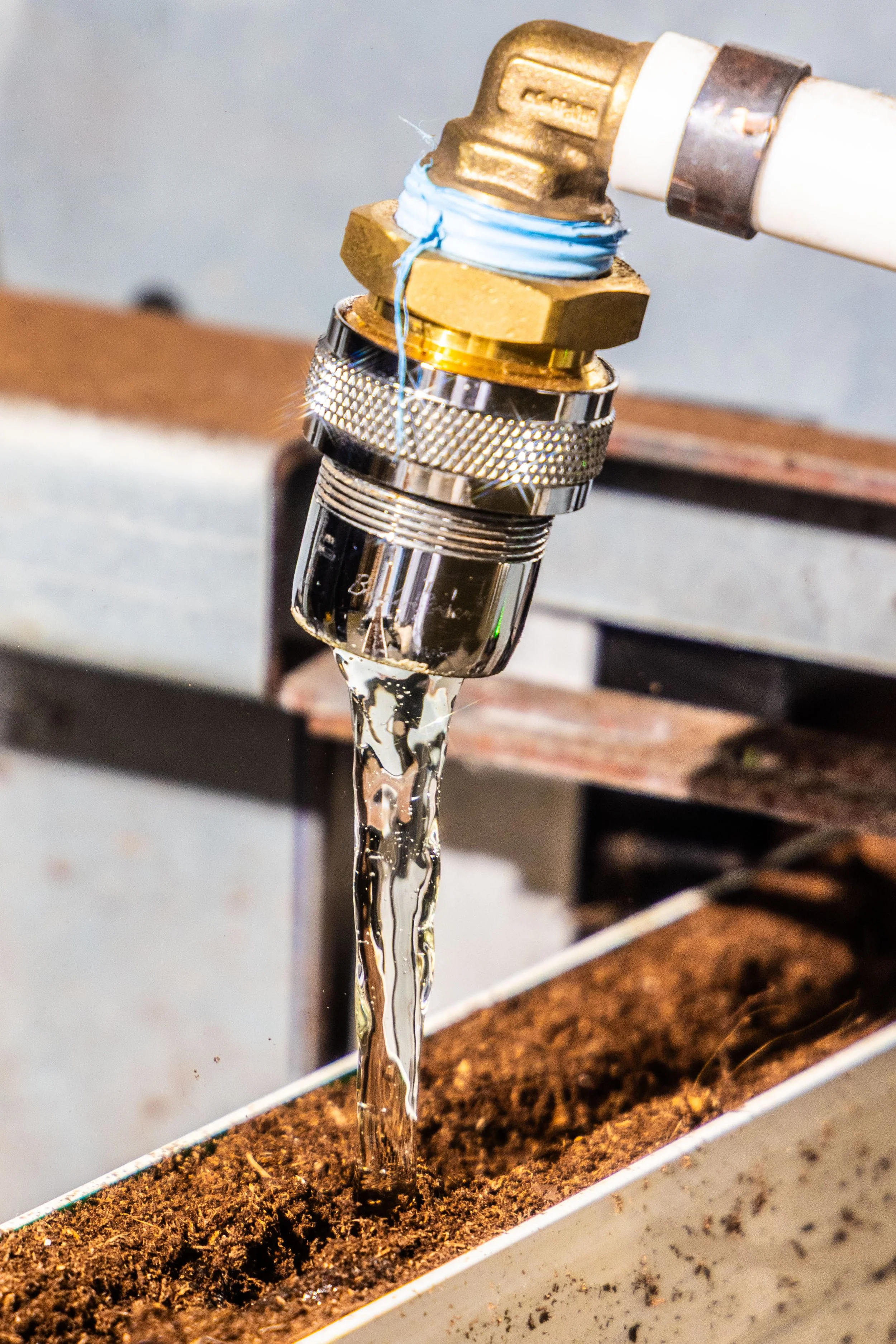 2023.10 - Greenswell - Proof-7608.JPG