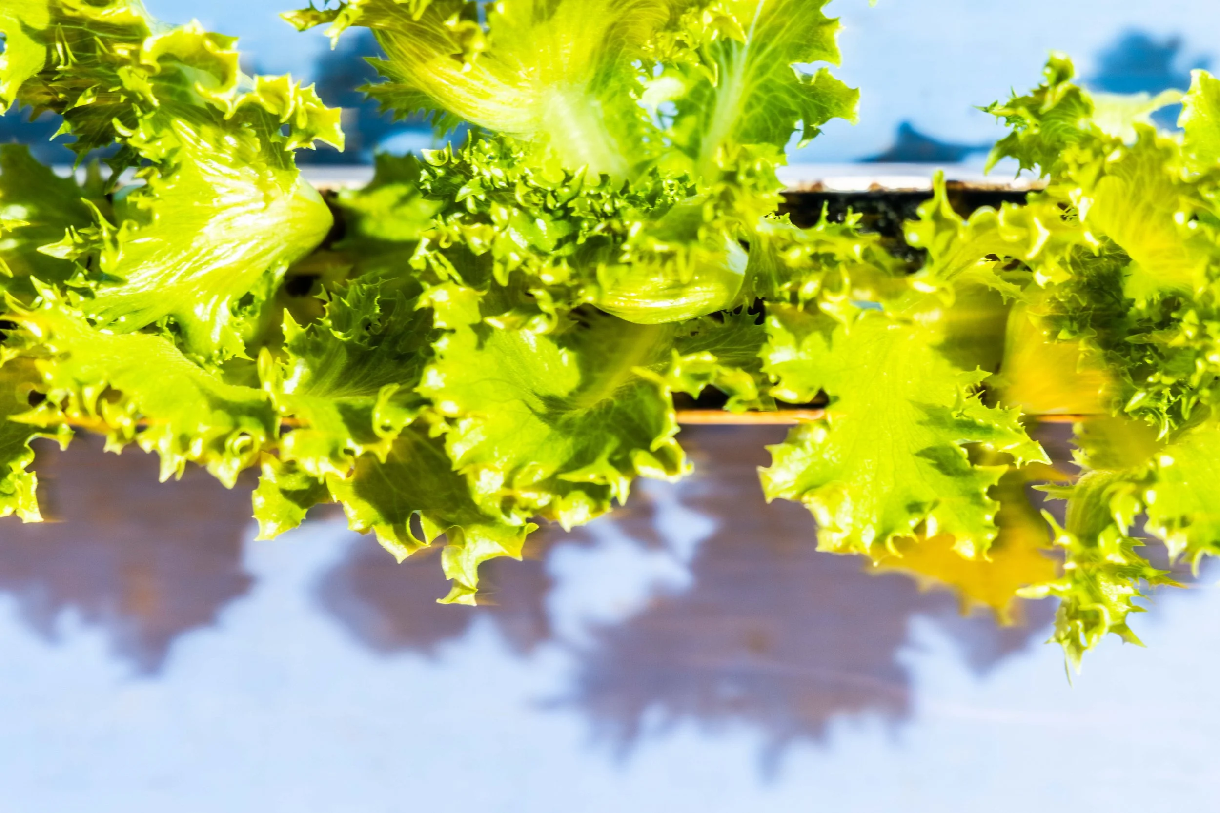 2023.10 - Greenswell - Proof-7710.JPG