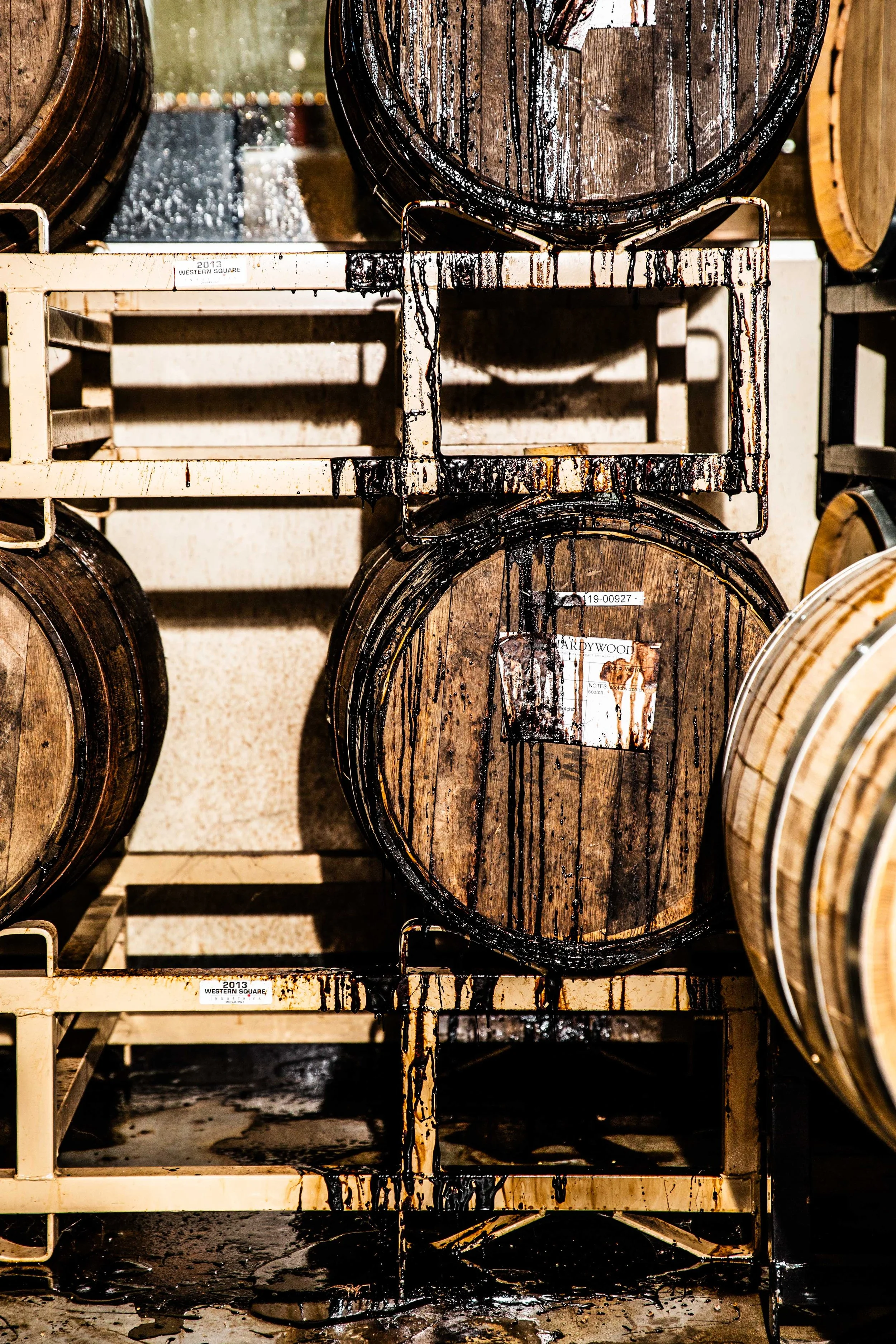 2021.11 - Hardywood - Proof-7326.JPG