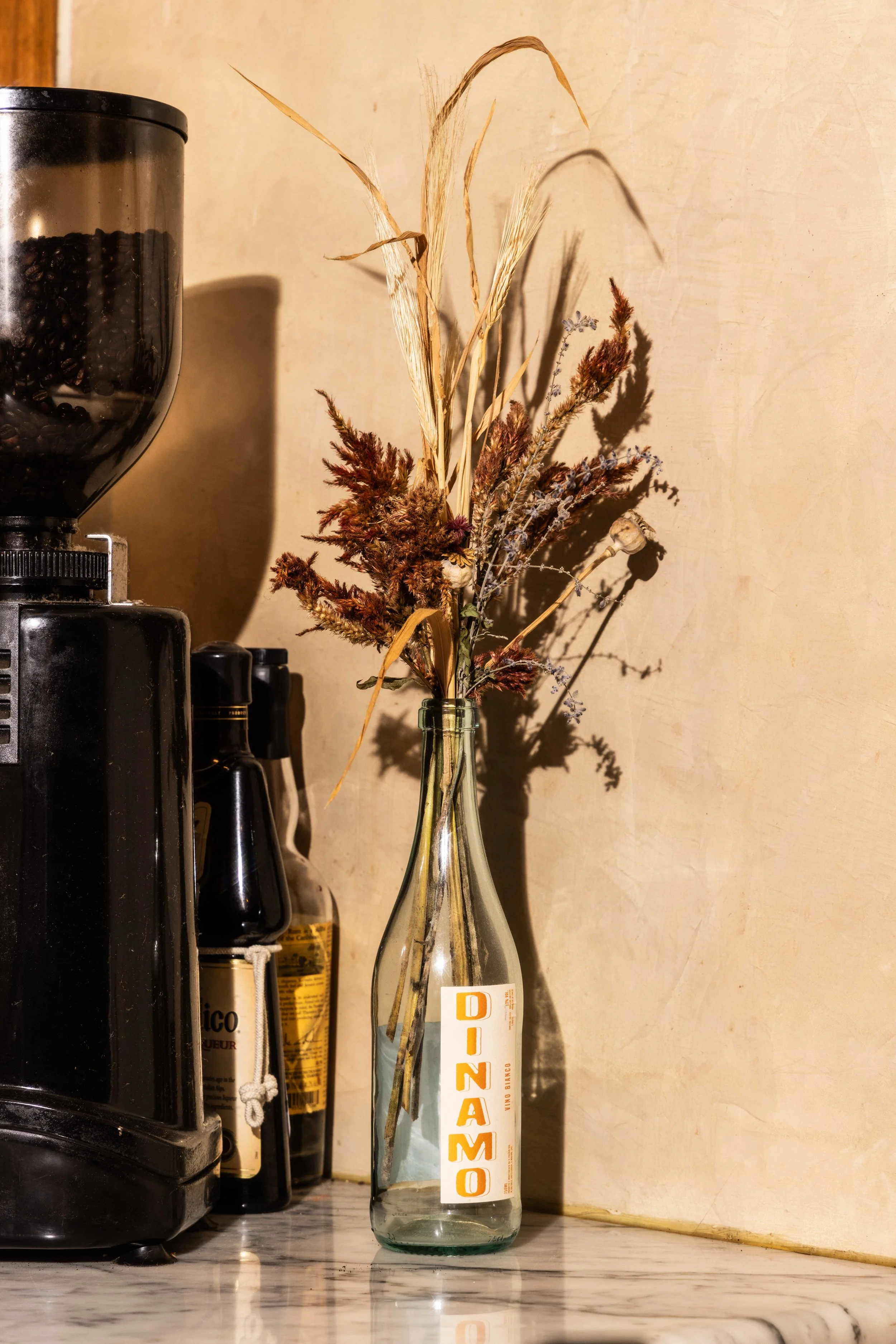 2025.11 - Dinamo - Proof - Web-2724.JPG