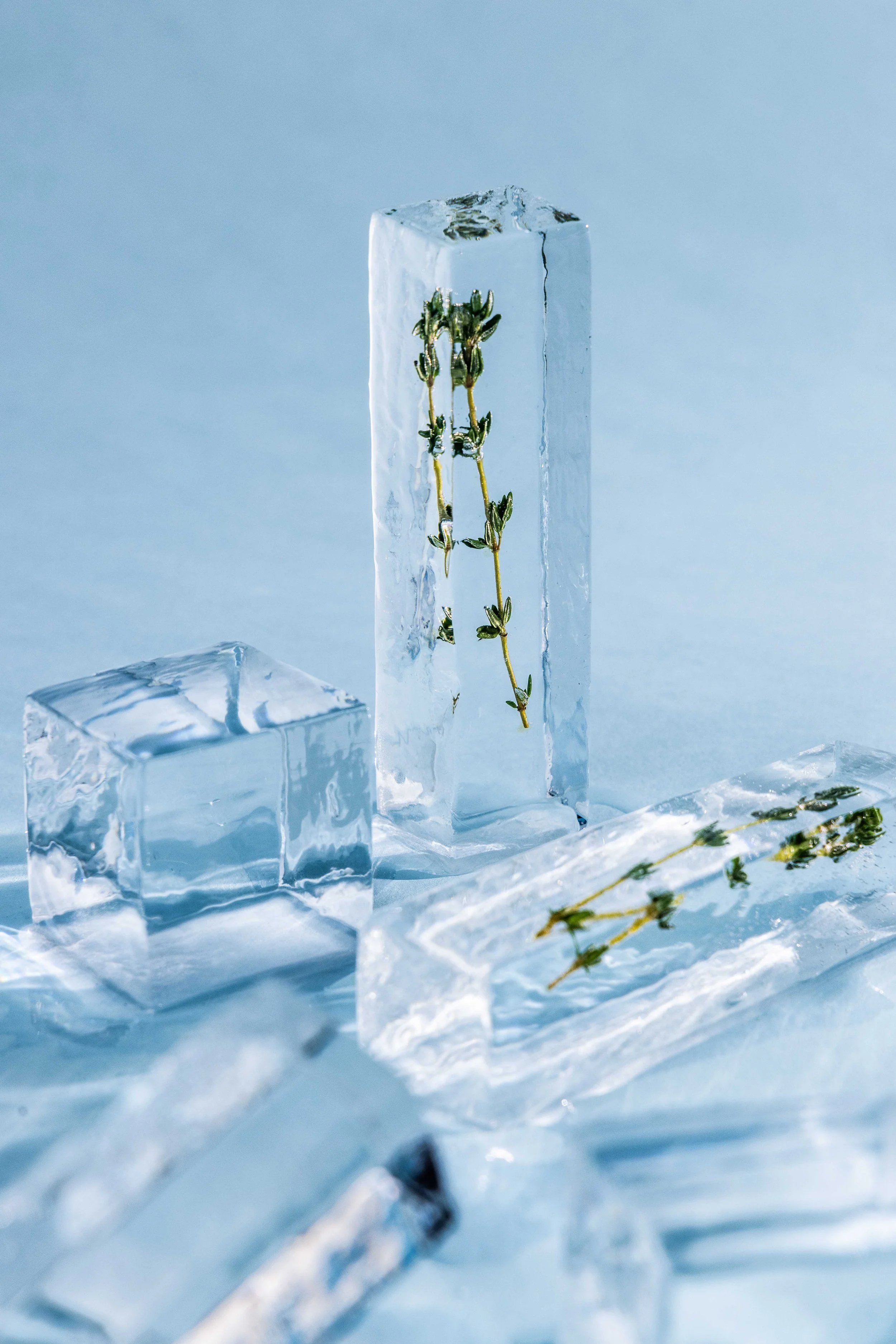 2026.02_Lady Chiller_Proof_Web-2-3.JPG