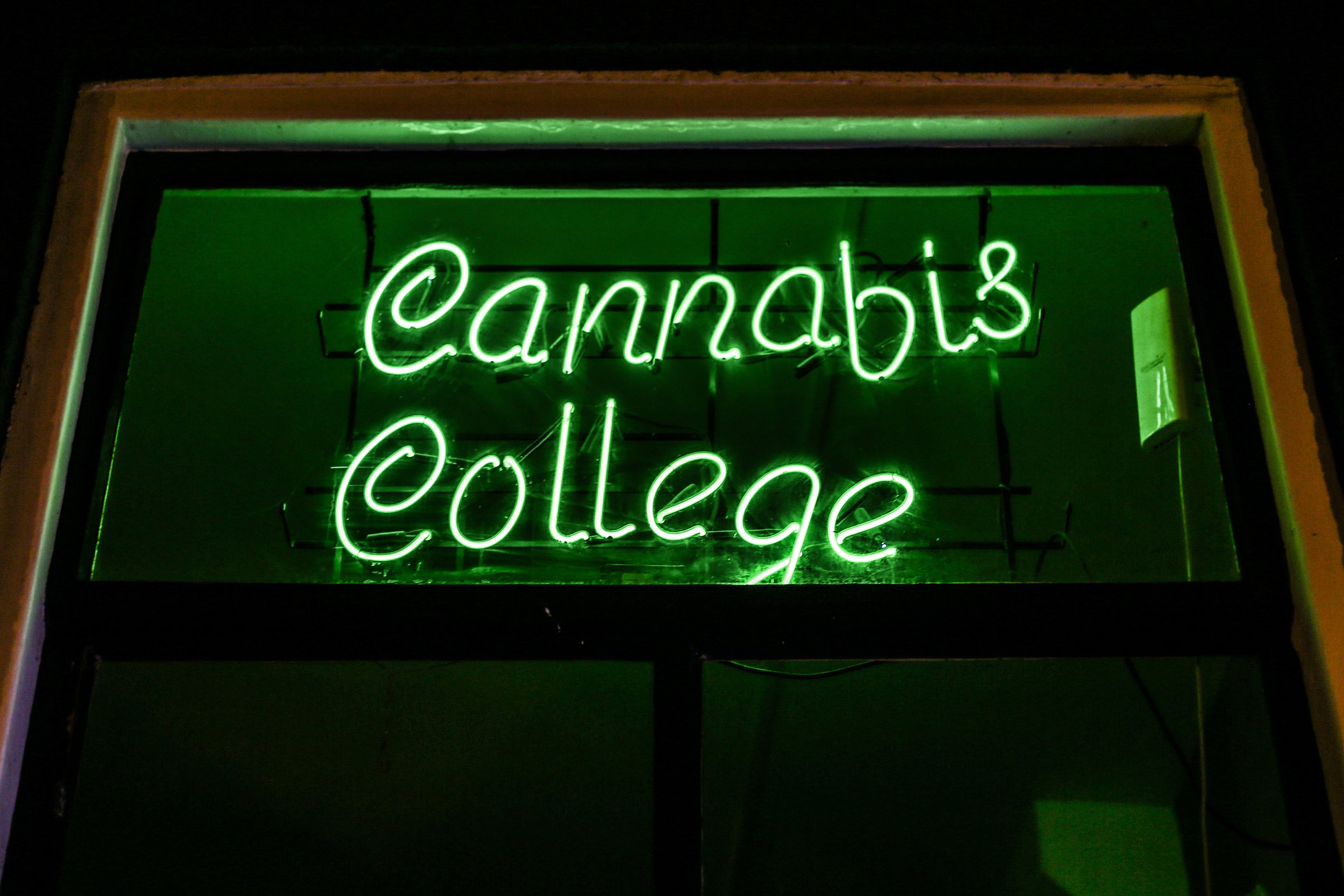 2026.01 - Cannabis - Proof-3957.JPG