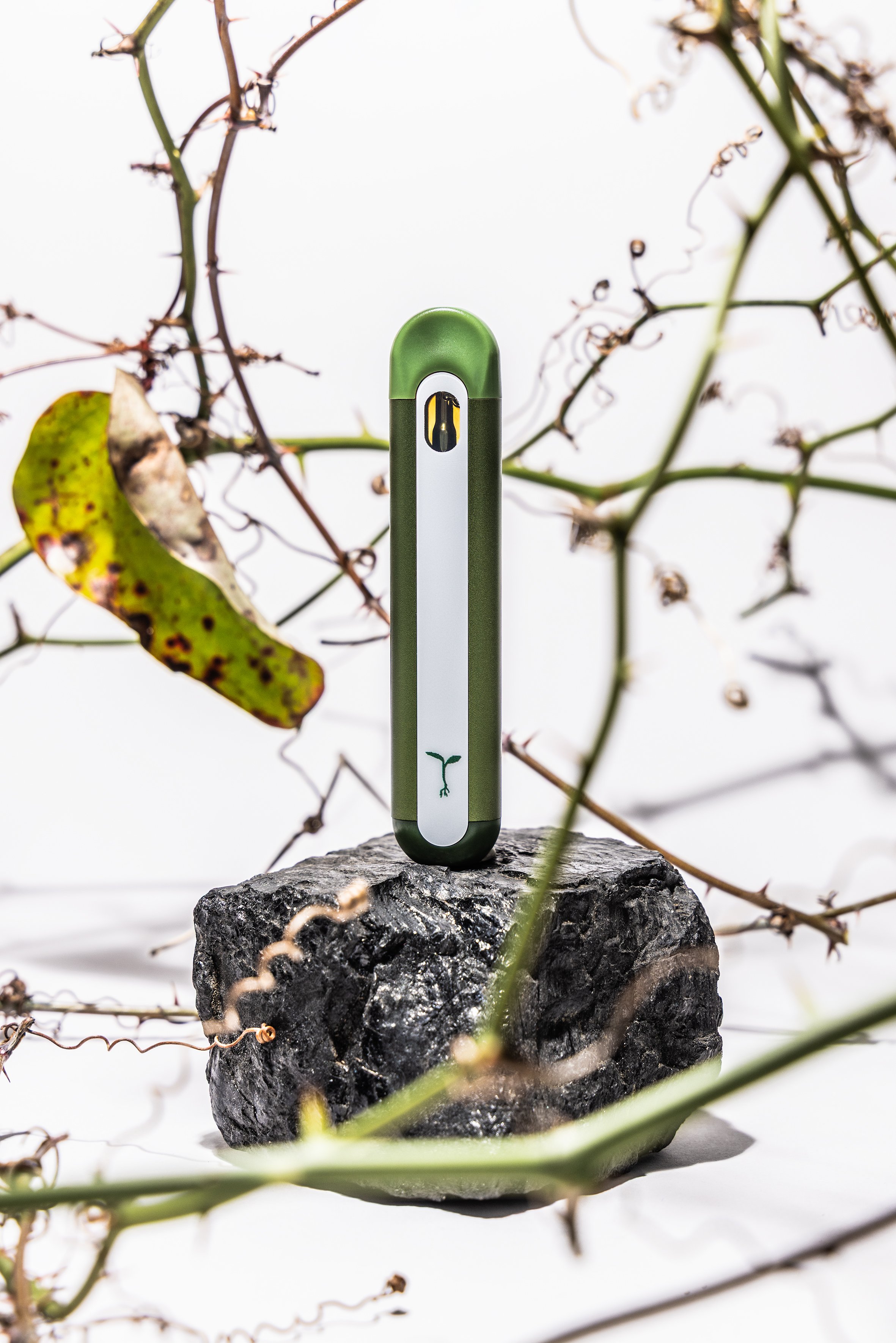 2026.01 - Cannabis - Proof - raw garden - thc vape.jpg