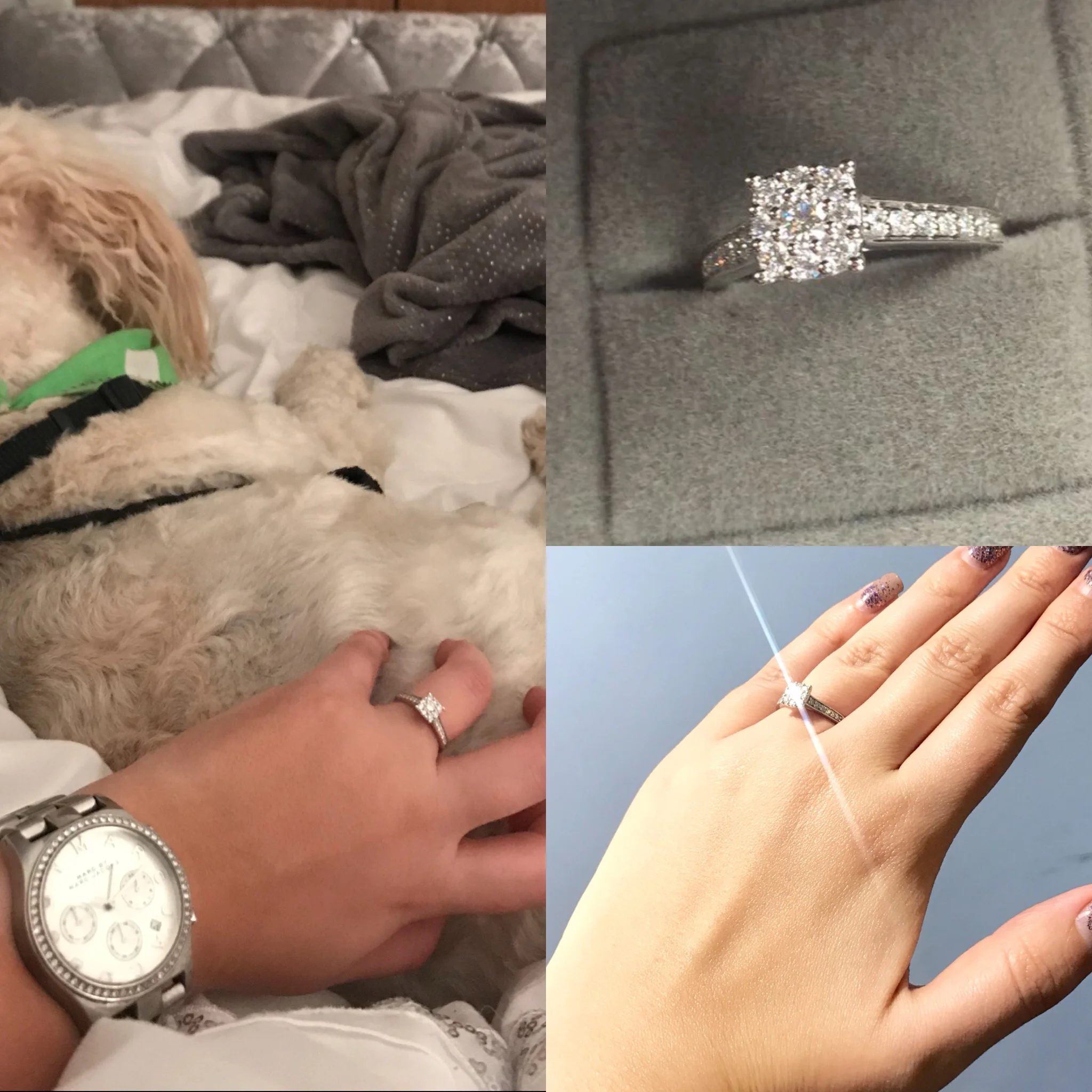 Love is in the air.........