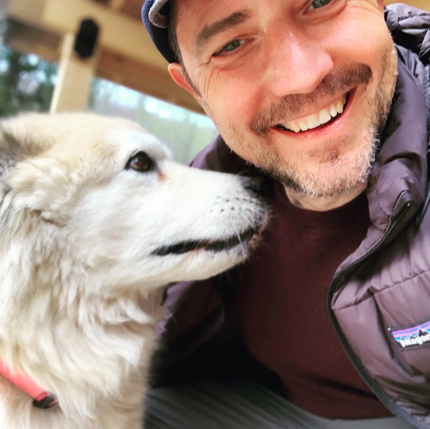 So this white dog is 3/4 wolf and 1/4 husky, according to some random person. Also totally deaf. And extremely happy. Also me. #appalachiantrail