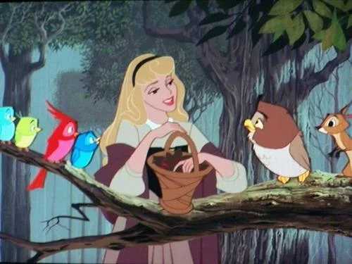 A still from a Disney movie. Cinderella talking to an Owl, a squirrel, and several other forest creatures.