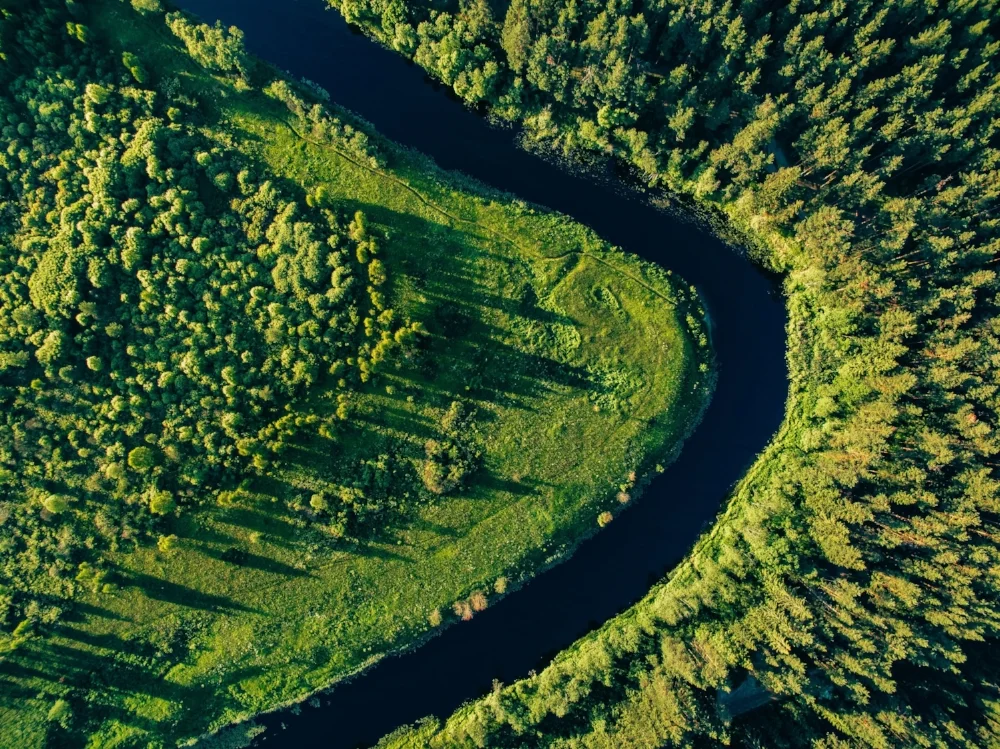 aerial-view-of-the-forest-river-in-summer-PFYN769.jpg