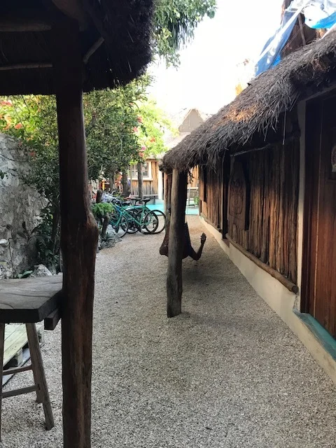 The courtyard and entrance of the cute hostel we stayed in, the Chill Inn Hostel.