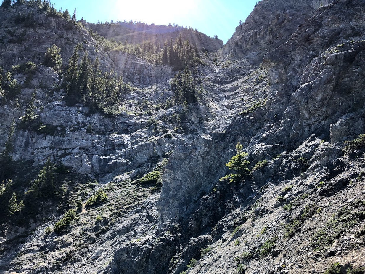 VF scramble down view.jpg