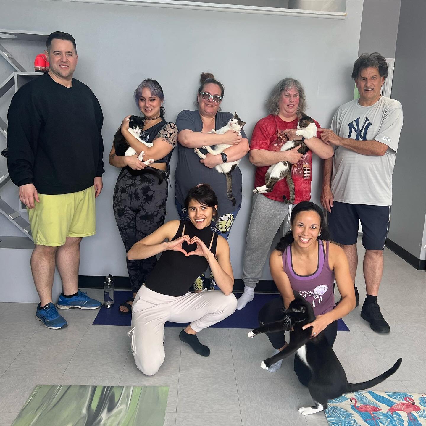 Another purr-fect 🐈 yoga session at @thecatnookcafe today! Thank you to those who joined us! The cats appreciate the entertainment 😸 &amp; your generous donations to support their quality care! We hope to see everyone again next month, in-person or
