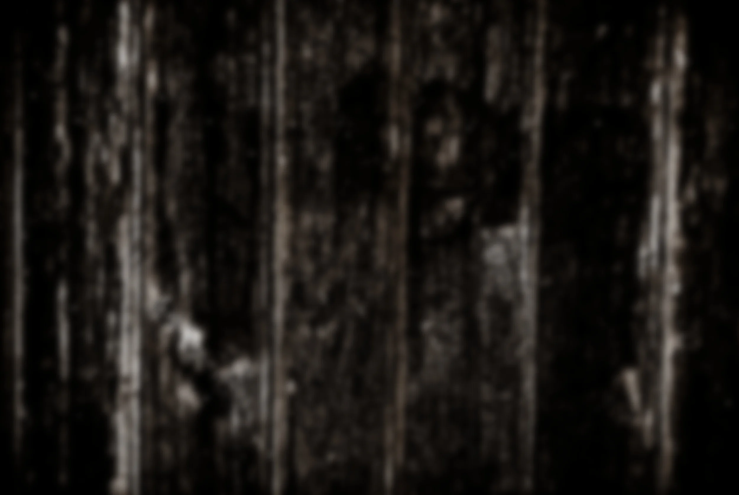 background-wood.jpg