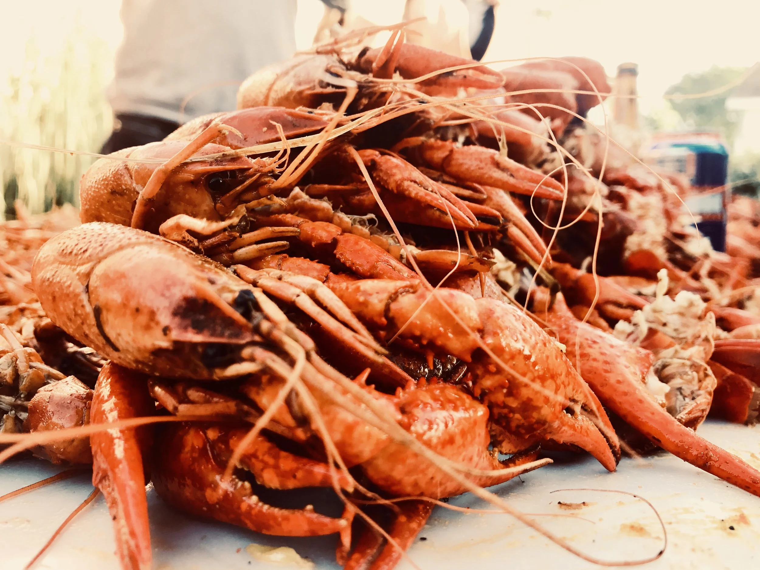 crawfish.jpg