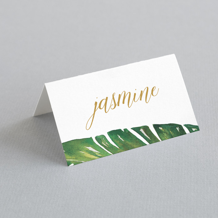 jasmine.jpg