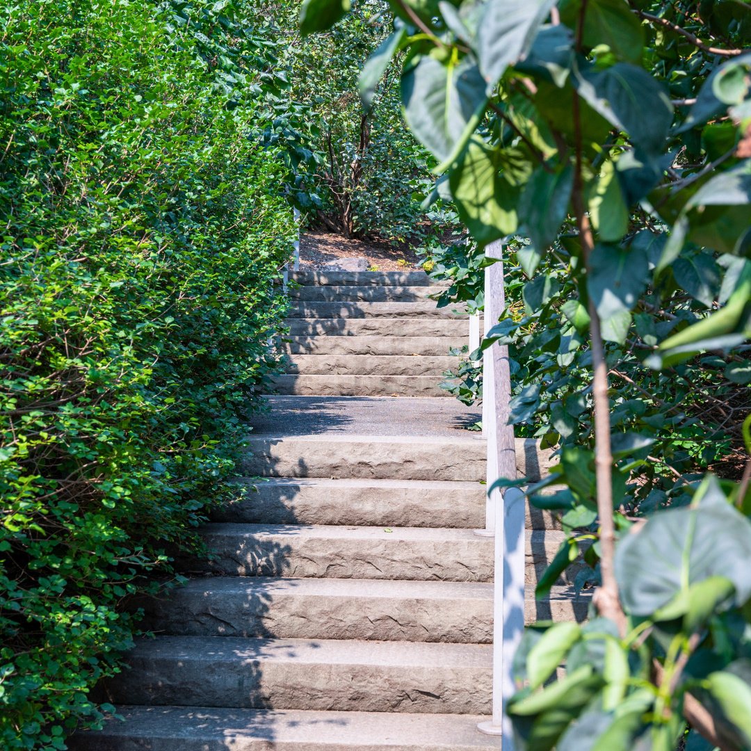 You might recognize these Bluestone steps... they can be found at the renowned New York Botanical Garden!