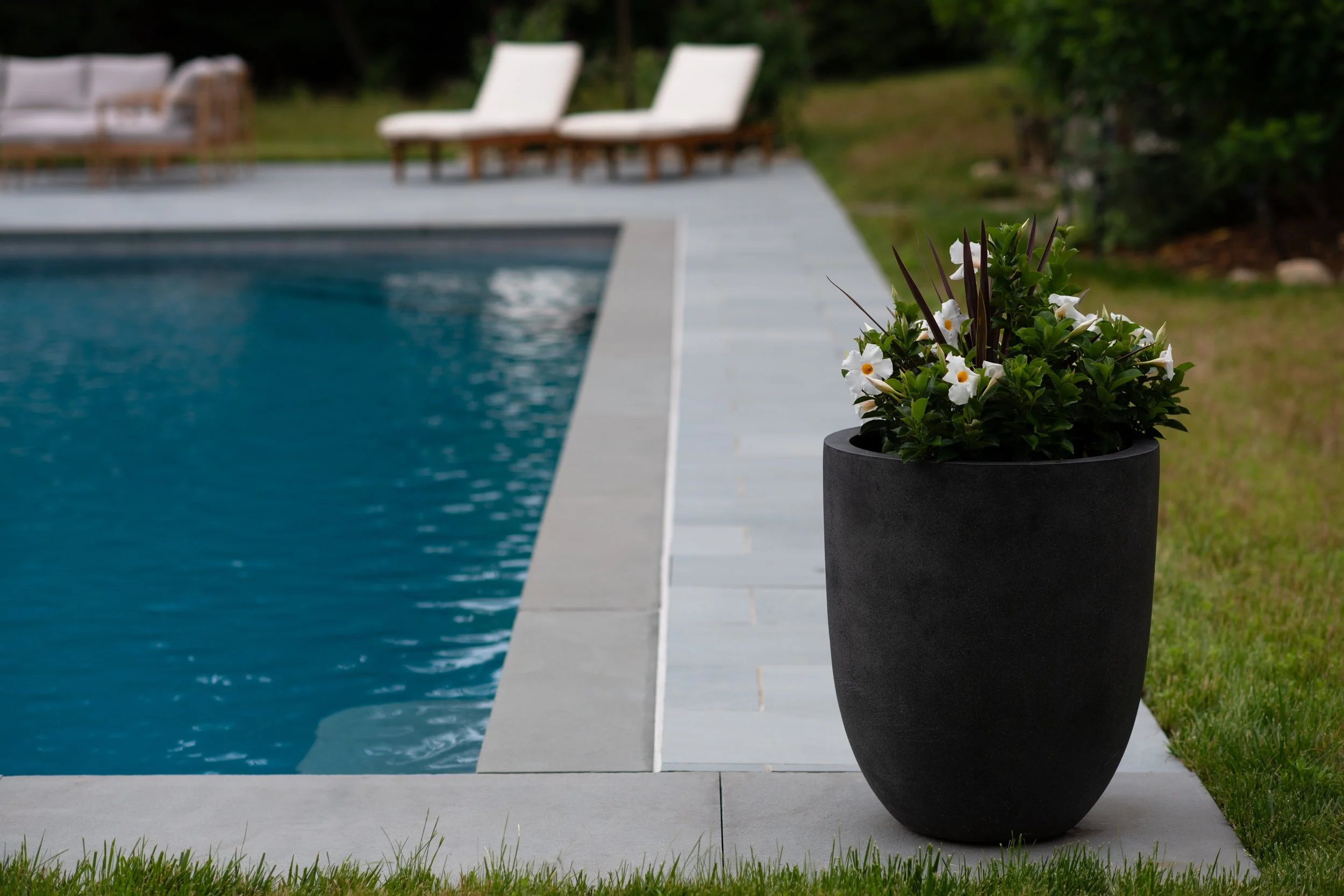 Riverside Bluestone Porcelain with Thermal Bluestone Coping