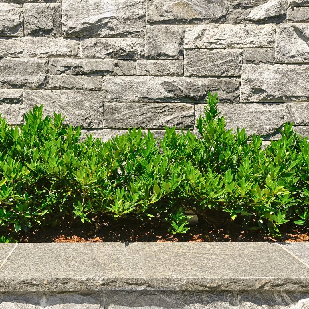 Timeless design meets natural beauty. The garden beds at The Mill Westport are framed with a Salem dark granite veneer wall, adding texture and charm to the landscape.