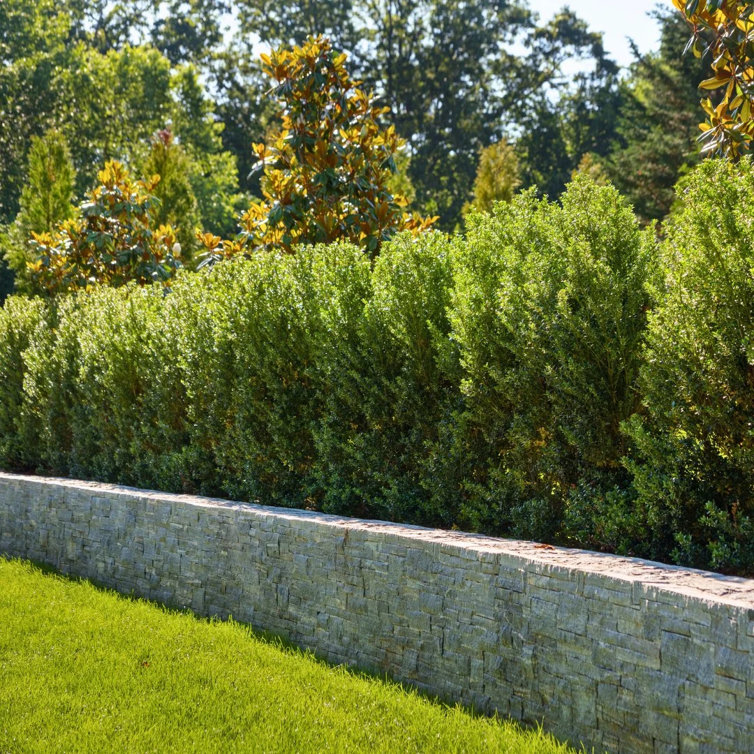 As the leaves change, this Liberty Hill wall stays timeless. This handcrafted wall adds texture and definition to the landscape - a perfect balance of nature and design.
