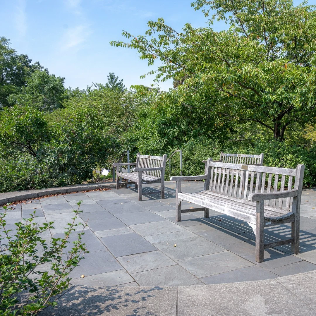 Discover tranquility at the Bronx Botanical Garden's serene patio surrounded by nature's beauty.