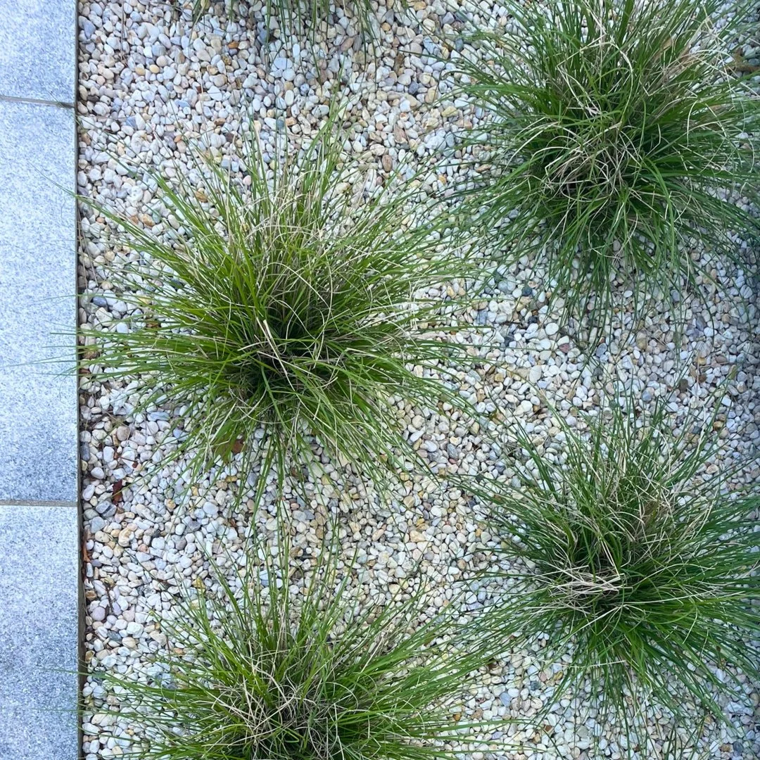 A close-up look at natural texture and timeless design. The blend of New Jersey Beach Gravel and Chatham Grey Granite creates a clean, durable edge that brings structure and character to any outdoor space.