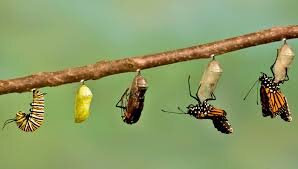 Spring Equinox DayTreat