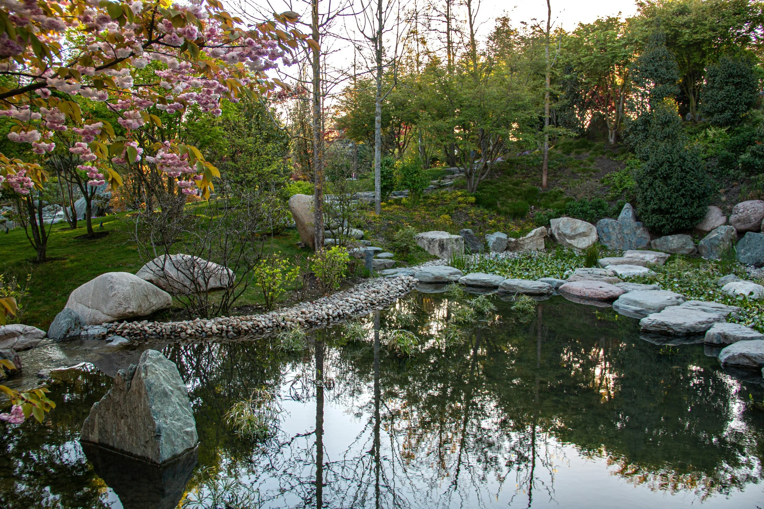 A serene landscape symbolizing mindfulness and balance